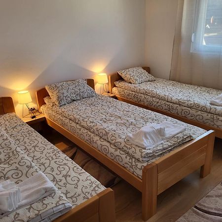 Vuk Apartman Donji Milanovac Exterior foto